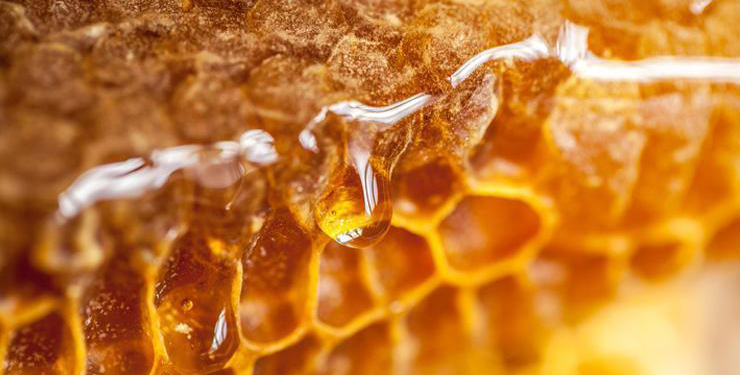 Gerçek bal nasıl anlaşılır? Saf balın ayırt edilme yöntemleri