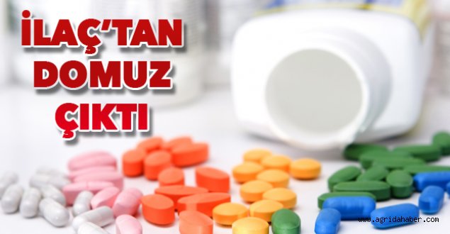 Bazı İlaçların İçinde Domuz Katkısı Var!