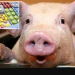 IaUMitvaxXfRJsK-1600x900-noPad