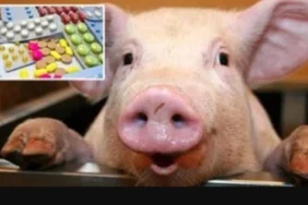 IaUMitvaxXfRJsK-1600x900-noPad