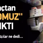 ilaclarin_icinde_domuz_katkisi_var_1424677702_1624