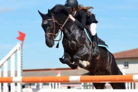 horseback-riding-1959584_640