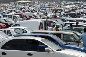 5e18305f67b0a91d0442733a