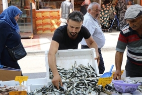 sezonun-ilk-baliklari-tezgahlarda-palamuda-niyet-istavrite-kismet-384