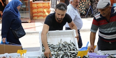 sezonun-ilk-baliklari-tezgahlarda-palamuda-niyet-istavrite-kismet-384