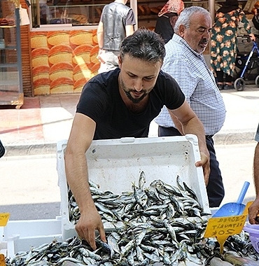 sezonun-ilk-baliklari-tezgahlarda-palamuda-niyet-istavrite-kismet-384