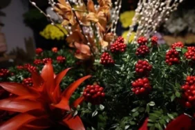 yMjIjgQFLUyigdlsIlKmhg