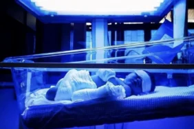 678669529ce86928__w1200xh838