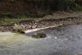 678a0886ed1c1879__w1200xh616