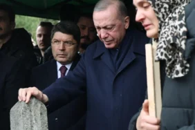 6790e869cd4f2463__w1200xh1618