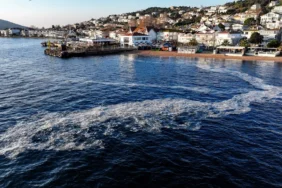 679766b8ecf31991__w1200xh729