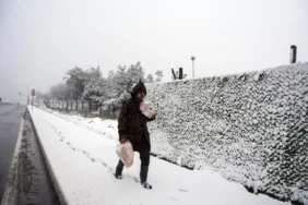 67b5cbadecc00906__w1200xh802