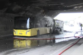 67c0531d81aa5745__w1200xh675