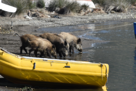 yeni-proje-20250210t165310765png-NNKxgnRFnkCxtwC66nVImA