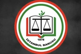 67dd91108ab20808__w1200xh673