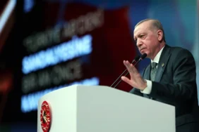 67f92aaf83db7132__w1200xh872