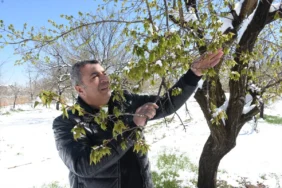 67fb8d6271e71184__w1200xh800