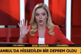 6809d8c270c08462__w1200xh645