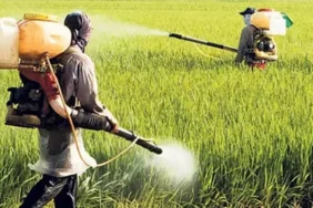 5c8d0b2707291c1d74012aed