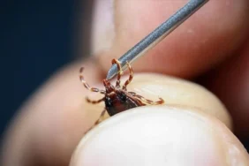 681c698f5380e211__w1200xh675