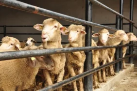 682306ec7071c480__w1200xh815