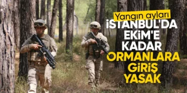 6856525d0434f864