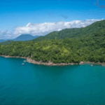 kiyi-kenar-cizgisinin-deniz-tarafindaki-ormanlik-alanlar-turizme-acildi-ne0v