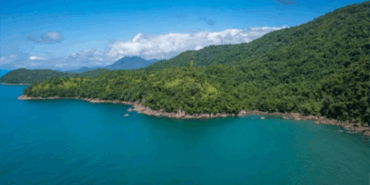 kiyi-kenar-cizgisinin-deniz-tarafindaki-ormanlik-alanlar-turizme-acildi-ne0v