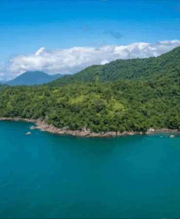 kiyi-kenar-cizgisinin-deniz-tarafindaki-ormanlik-alanlar-turizme-acildi-ne0v