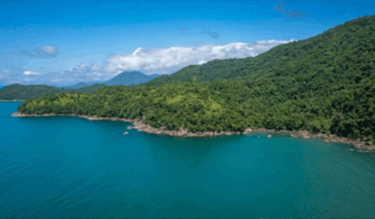 kiyi-kenar-cizgisinin-deniz-tarafindaki-ormanlik-alanlar-turizme-acildi-ne0v