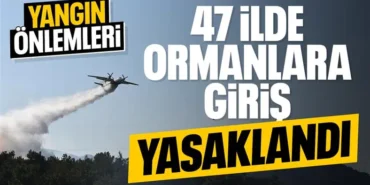 685fd2e288388947
