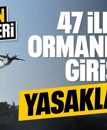 685fd2e288388947