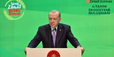 685fdfee07d18585__w1200xh800