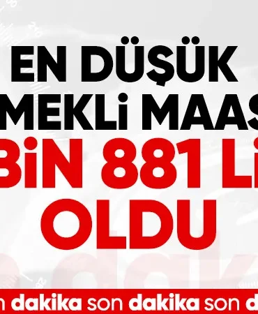 68667b3aae637880
