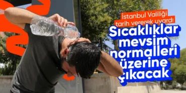 68676c970e291496