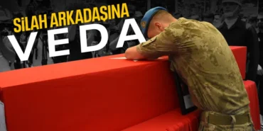 686d176da0c4a456