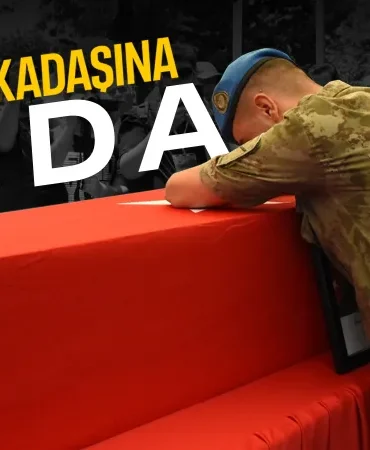 686d176da0c4a456