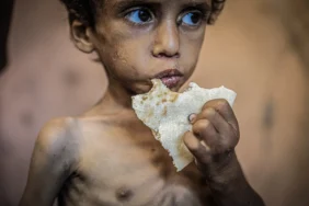 6874cd3e6de13113__w1200xh800