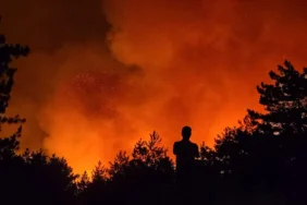 6887de57d5426881__w1200xh676