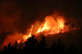 68886e0860e3e721__w1200xh800