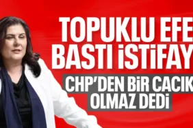 689dadb65c960732