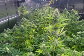 WhatsApp Görsel 2025-08-17 saat 23.32.59_8991802b