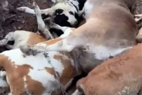 WhatsApp Görsel 2025-08-20 saat 11.35.56_b8ee248c