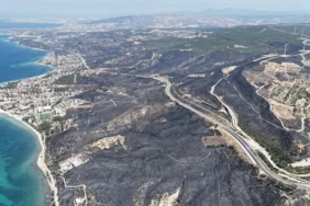 68a712c8b1efd763__w1200xh675