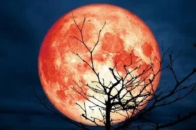 kanli-ay-tutulmasi-turkiyeden-de-izlenebilecek-iste-tarihi-ve-saati-tnhx