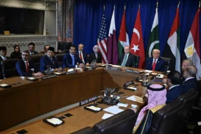 68d3168898e62532__w1200xh800