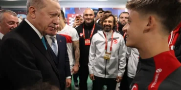 68eec0c836619880__w1200xh883