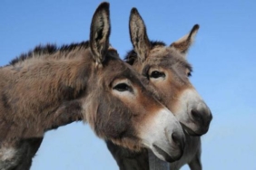 dc9d48c0-9fac-11ed-a928-4554632c9f33