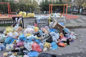 692fddc3559a2776__w1200xh676