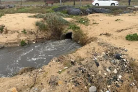 6935e325c3506987__w1200xh675